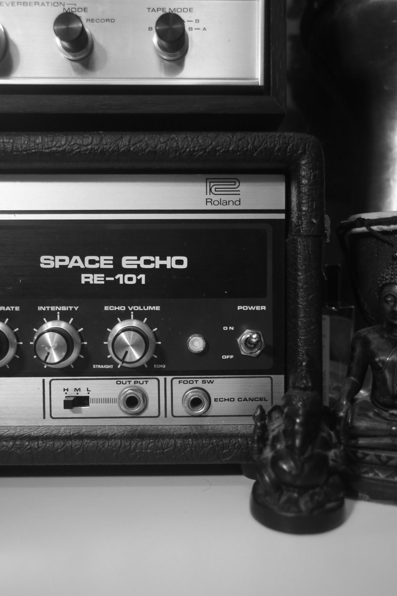Paul Elliott about his Roland RE-101 Space Echo
