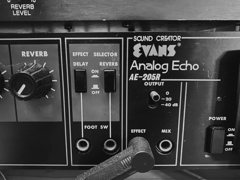 Seth Applebaum about his Evans AE-205R Analog Echo
